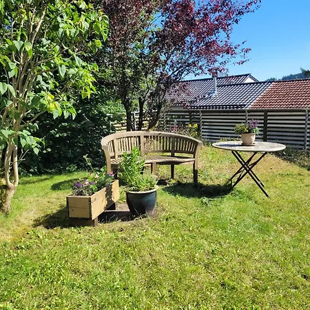 Hébergement de vacances Waldgimpel